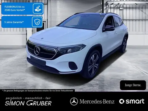 Used MERCEDES-BENZ EQA Not specified 2023 Ad 