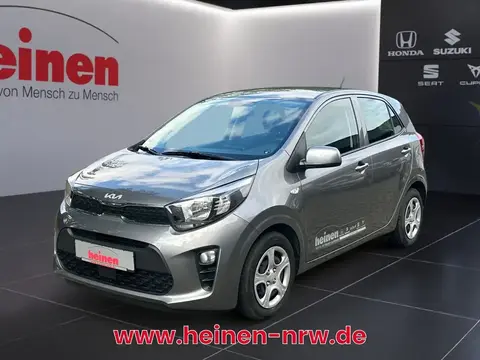 Used KIA PICANTO Petrol 2024 Ad 