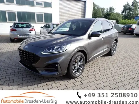 Used FORD KUGA Petrol 2021 Ad 