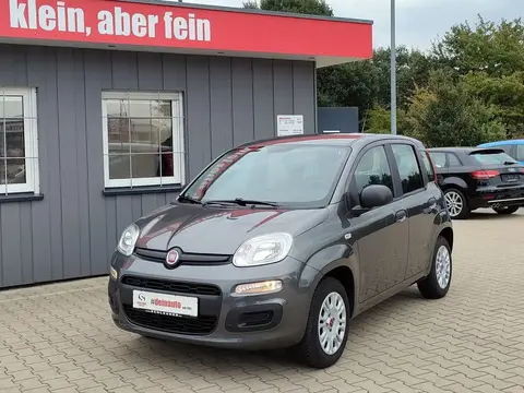 Used FIAT PANDA Petrol 2019 Ad 