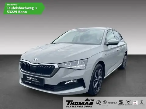 Annonce SKODA SCALA Essence 2020 d'occasion 