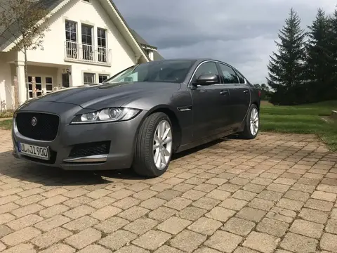 Used JAGUAR XF Diesel 2017 Ad 