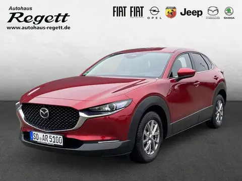 Used MAZDA CX-30 Hybrid 2024 Ad 