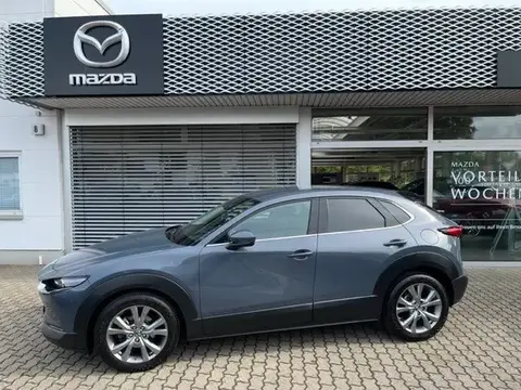 Annonce MAZDA CX-30 Hybride 2021 d'occasion 