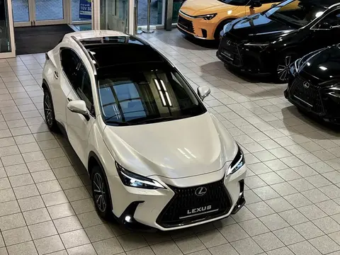 Used LEXUS NX Hybrid 2024 Ad 