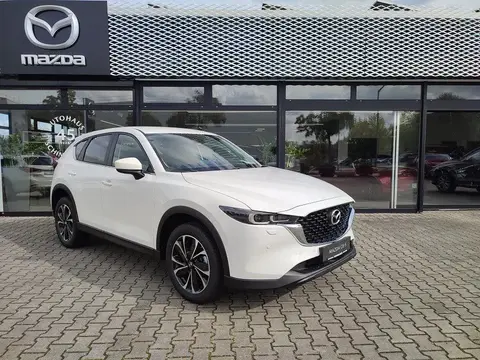 Annonce MAZDA CX-5 Diesel 2024 d'occasion 