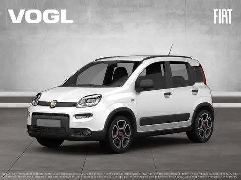 Used FIAT PANDA Hybrid 2024 Ad 