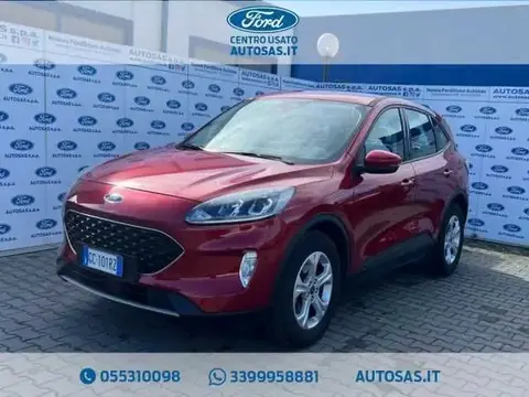 Used FORD KUGA Diesel 2020 Ad 