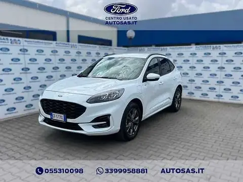 Used FORD KUGA Petrol 2021 Ad 