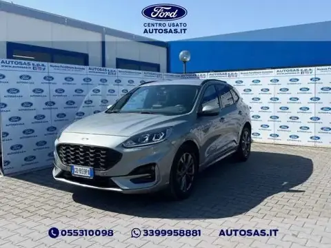 Used FORD KUGA Diesel 2021 Ad 