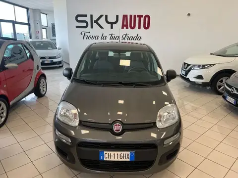 Used FIAT PANDA Hybrid 2021 Ad 