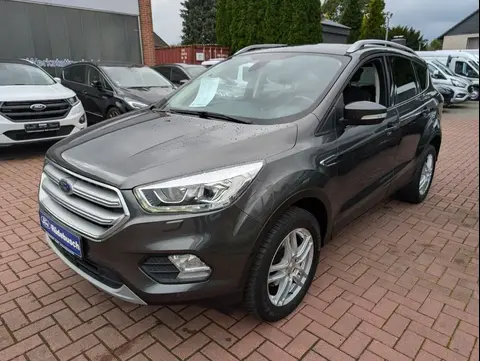 Annonce FORD KUGA Essence 2019 d'occasion 