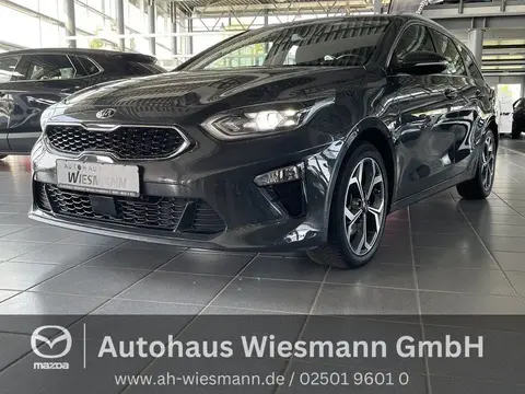 Used KIA CEED Diesel 2019 Ad 