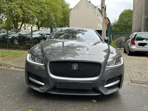 Annonce JAGUAR XF Diesel 2017 d'occasion 