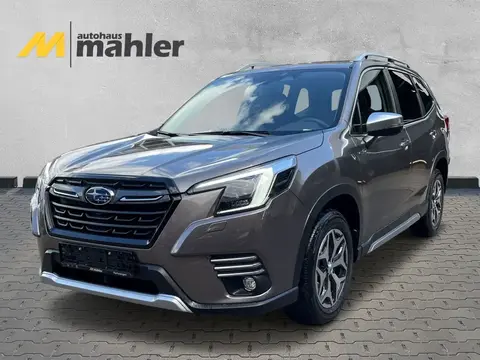 Annonce SUBARU FORESTER Essence 2024 d'occasion 