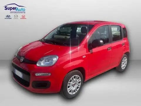 Used FIAT PANDA Petrol 2020 Ad 