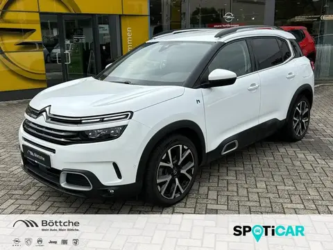 Used CITROEN C5 AIRCROSS Hybrid 2021 Ad 