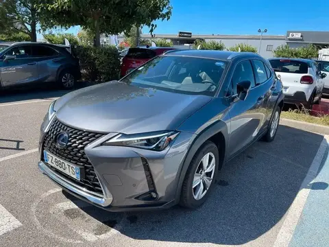 Used LEXUS UX Hybrid 2021 Ad 