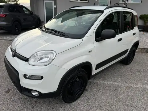 Annonce FIAT PANDA Essence 2018 d'occasion 