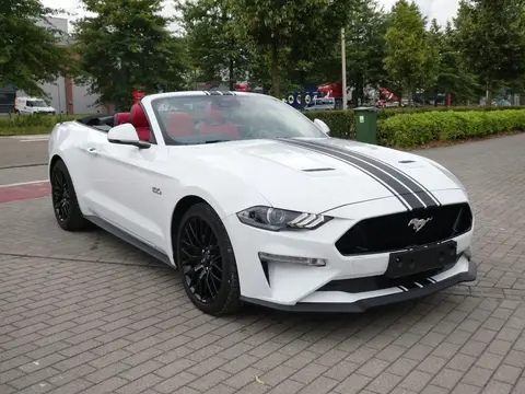 Used FORD MUSTANG Petrol 2023 Ad 