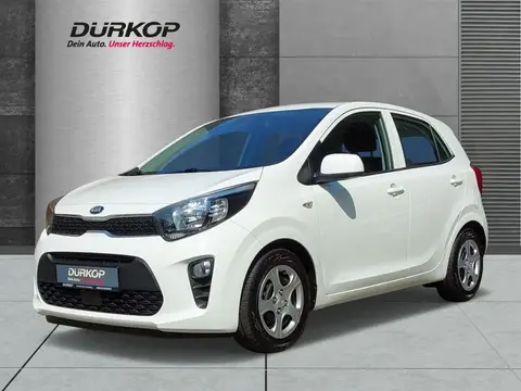 Annonce KIA PICANTO Essence 2021 d'occasion 