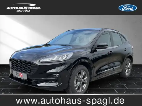 Used FORD KUGA Hybrid 2023 Ad 