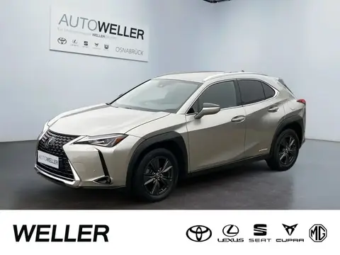 Used LEXUS UX Hybrid 2020 Ad 