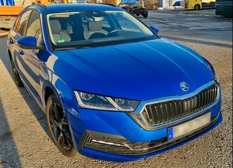 Annonce SKODA OCTAVIA Diesel 2023 d'occasion 