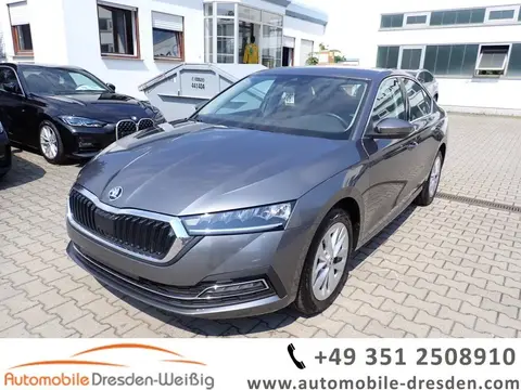 Used SKODA OCTAVIA Petrol 2023 Ad 