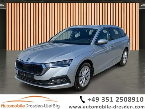 Used SKODA OCTAVIA Petrol 2024 Ad 