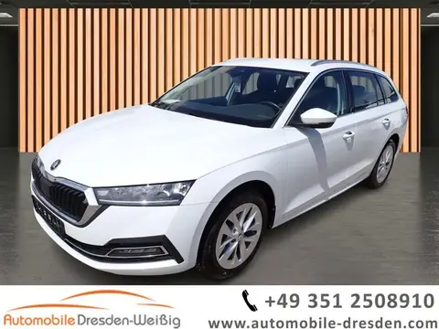 Used SKODA OCTAVIA Petrol 2022 Ad 