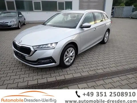 Used SKODA OCTAVIA Petrol 2022 Ad 