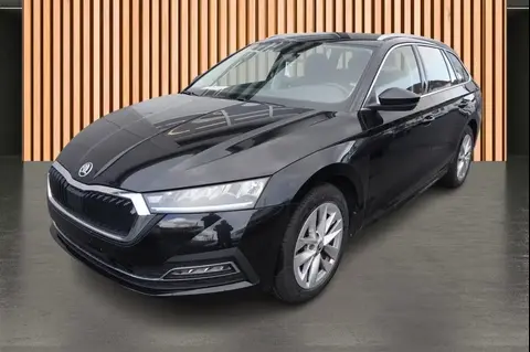 Used SKODA OCTAVIA Petrol 2022 Ad 