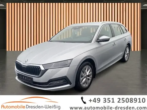 Annonce SKODA OCTAVIA Essence 2023 d'occasion 