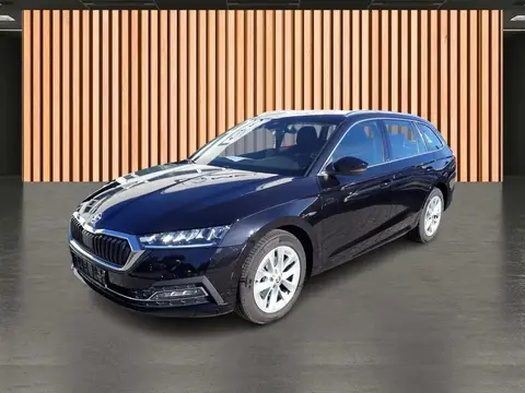 Annonce SKODA OCTAVIA Diesel 2023 d'occasion 