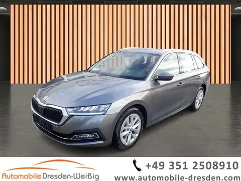 Used SKODA OCTAVIA Petrol 2023 Ad 