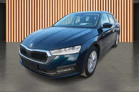 Used SKODA OCTAVIA Petrol 2023 Ad 