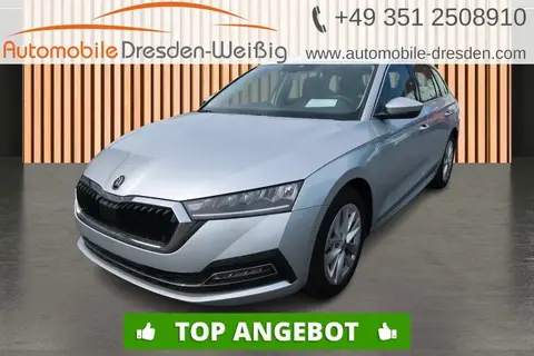 Used SKODA OCTAVIA Petrol 2023 Ad 