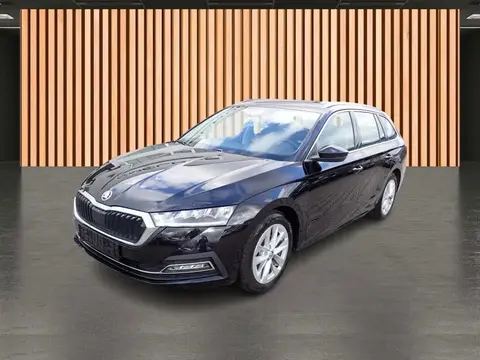 Used SKODA OCTAVIA Petrol 2023 Ad 