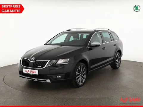 Used SKODA OCTAVIA Diesel 2020 Ad 