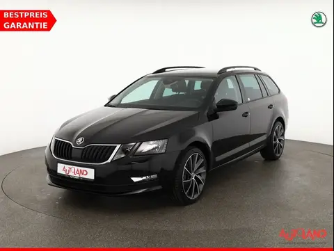 Used SKODA OCTAVIA Diesel 2019 Ad 