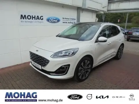 Annonce FORD KUGA Hybride 2021 d'occasion 