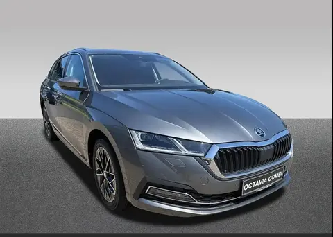 Annonce SKODA OCTAVIA Essence 2024 d'occasion 