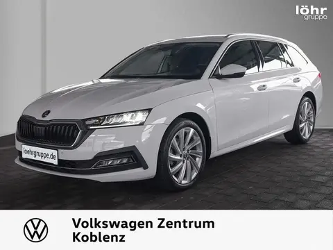 Annonce SKODA OCTAVIA Diesel 2021 d'occasion 