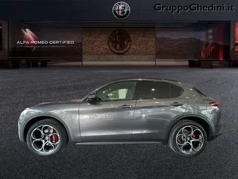 Annonce ALFA ROMEO STELVIO Diesel 2019 d'occasion 