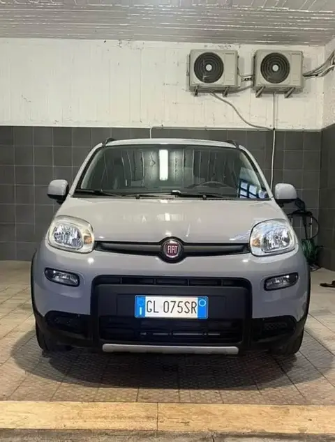 Used FIAT PANDA Hybrid 2022 Ad 