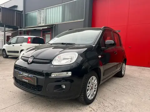 Annonce FIAT PANDA Essence 2019 d'occasion 