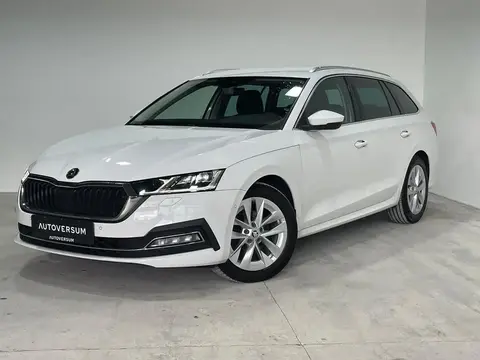 Used SKODA OCTAVIA Diesel 2020 Ad 