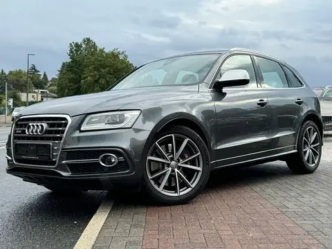 Annonce AUDI SQ5 Diesel 2015 d'occasion 