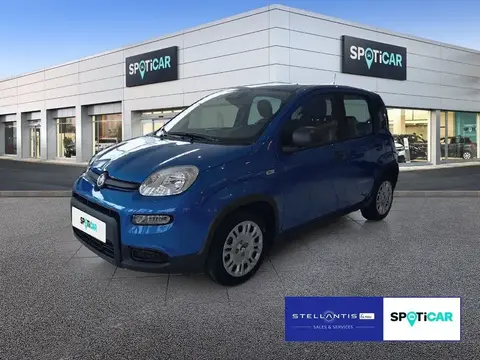 Used FIAT PANDA Hybrid 2024 Ad 